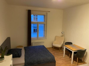 Sunlit apartment close to city center